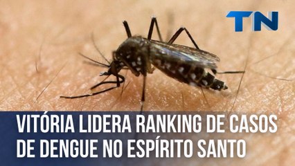 Vitória lidera ranking de casos de dengue no ES