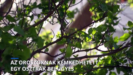 Az oroszoknak kémkedhetett egy osztrák belügyes