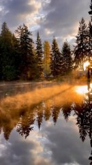 LE PLUS NATUREL paysage de Seattle [ @anil_dangol_photography]