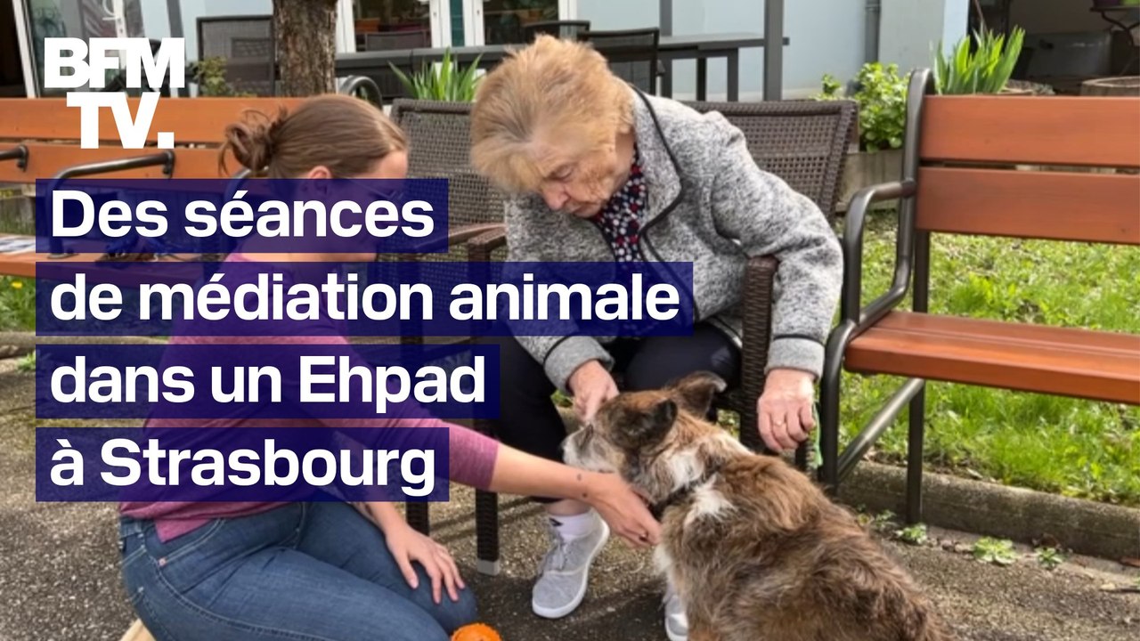 Strasbourg: des séances de médiation animale proposées dans un Ehpad