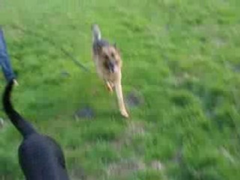 MVI_4207 Porto Appolon