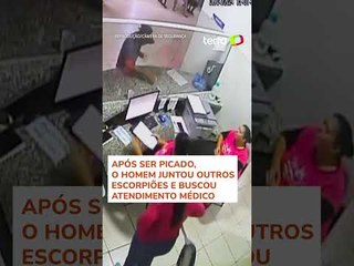Homem se irrita e joga 10 escorpiões em recepcionistas de unidade de saúde em SP #shorts