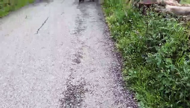 Google Pixel 8 Pro | Prueba cámara grabación