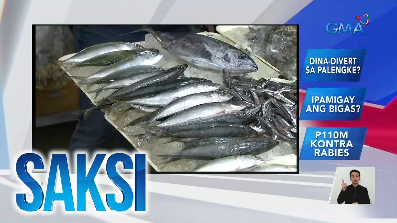 Pag-isyu ng clearance sa pag-aangkat ng ilang imported na isda sa bansa, sinuspinde ng DA | Saksi