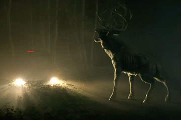 'Bambi: La venganza' - Teaser oficial