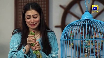 Dao Episode 31 - [Eng Sub] - Atiqa Odho - Haroon Shahid - Kiran Haq - 3rd April 2024 - HAR PAL GEO