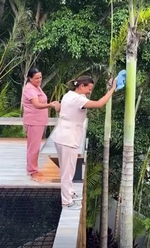 Carlinhos Maia é criticado por mostrar funcionárias limpando coqueiro sem equipamentos de proteção