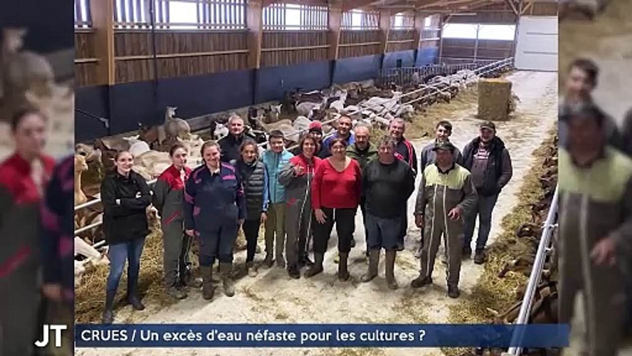 CRUES / Un excès d'eau néfaste pour les cultures?