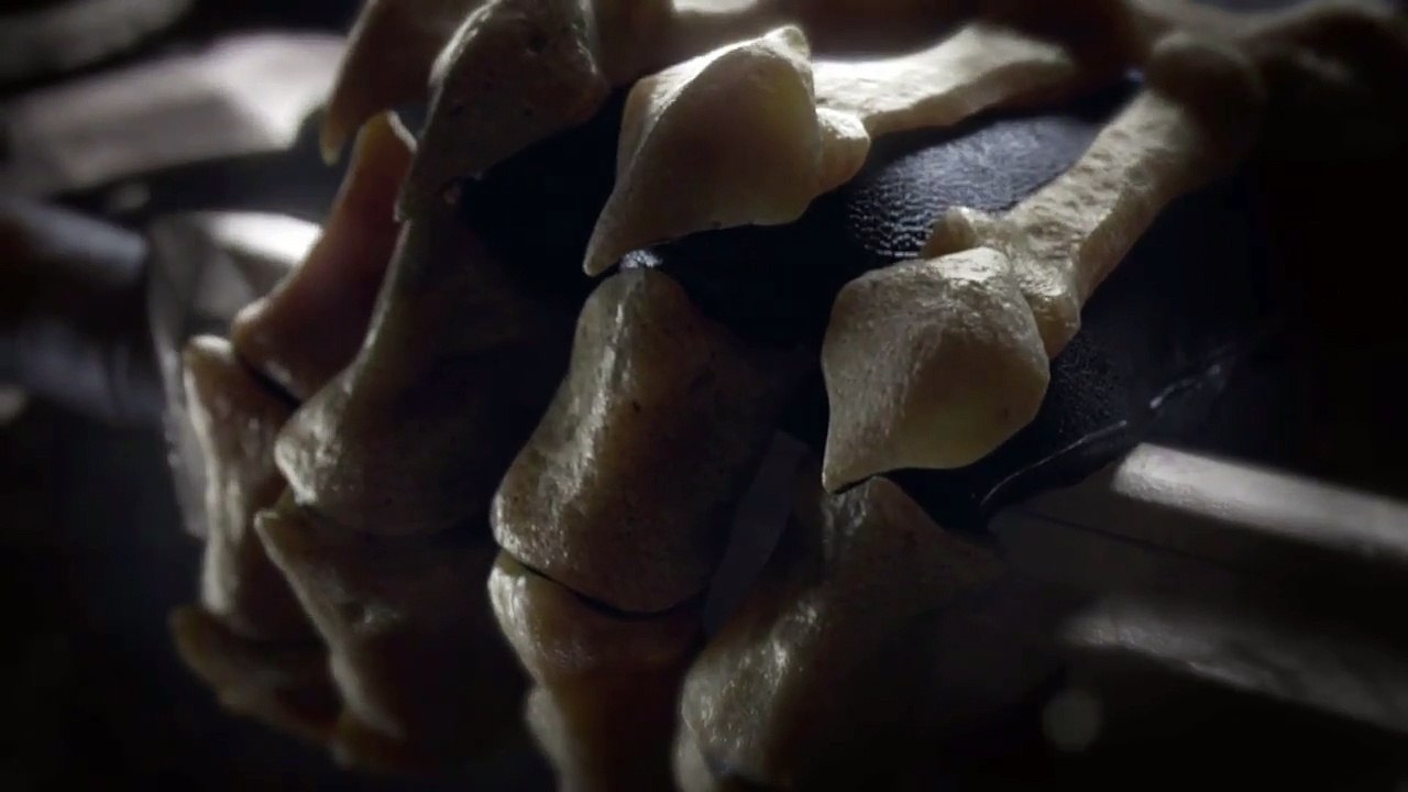 Video Teaser