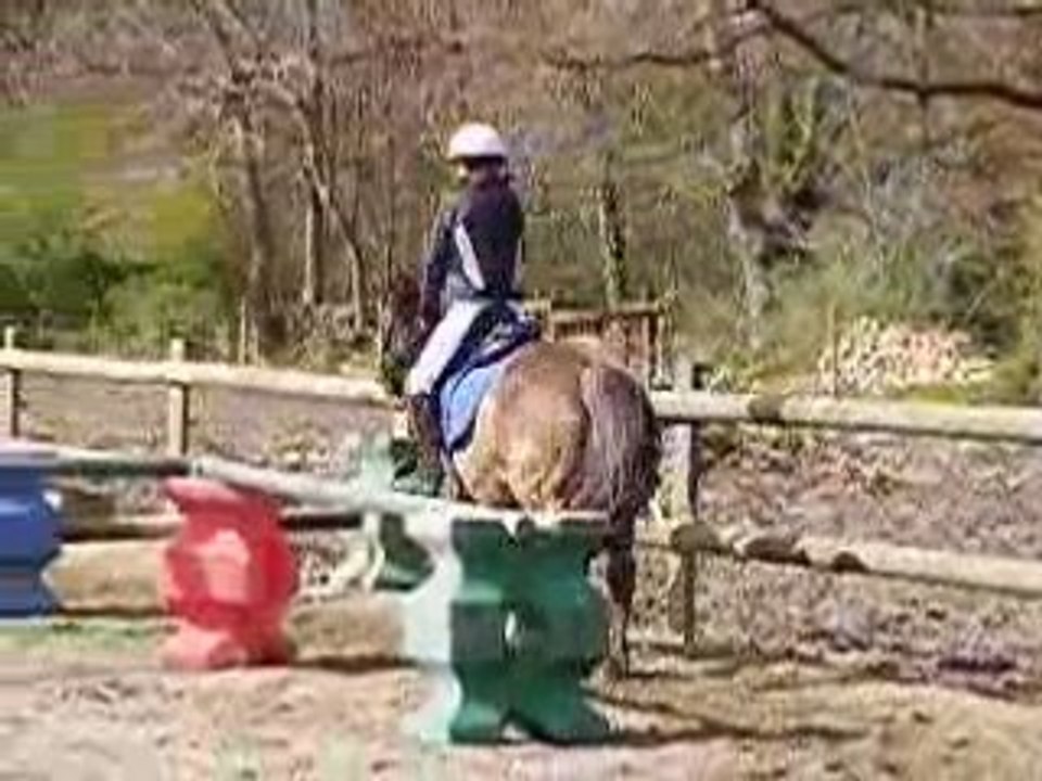Elan qui saute
