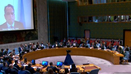 دعوات في مجلس الأمن لوقف استهدافات عمال الإغاثة ومحاسبة مرتكبيها