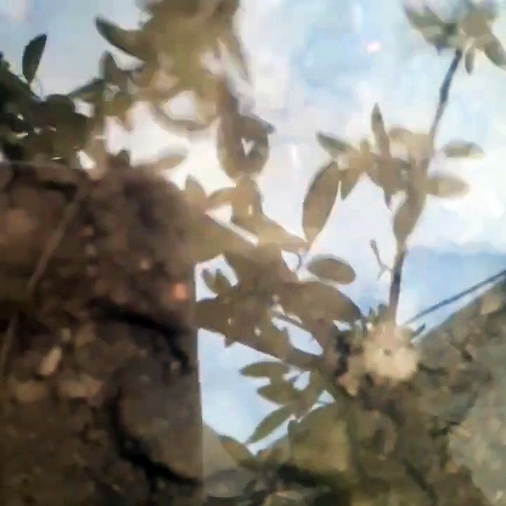 The transparent water