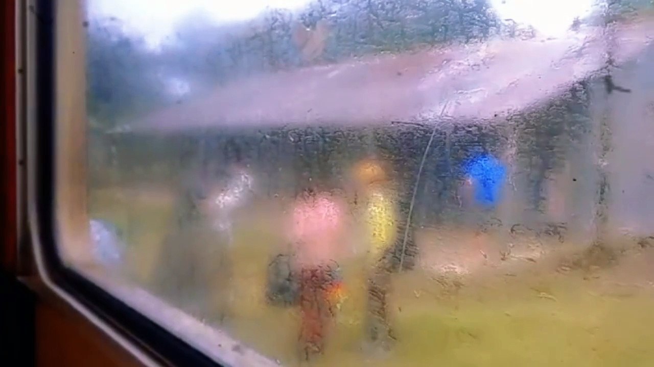 Viaje en tren - Desde la ventana: paisajes y sonidos - Tacuarembó-Rivera (02/04/2024)