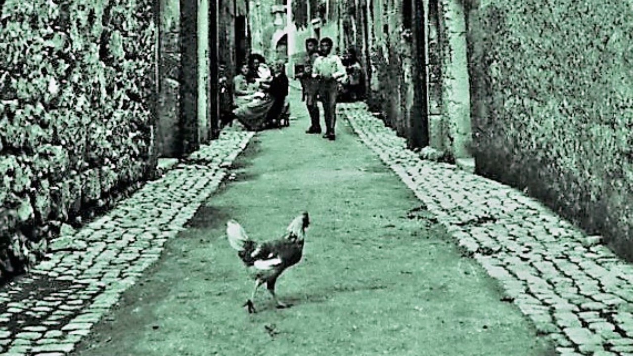 Antropologia italiana del XX° secolo