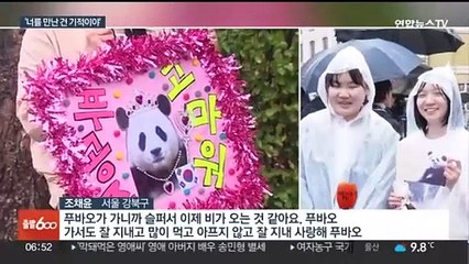 "영원히 기억할게"…푸바오 중국 가는 날 '눈물바다'