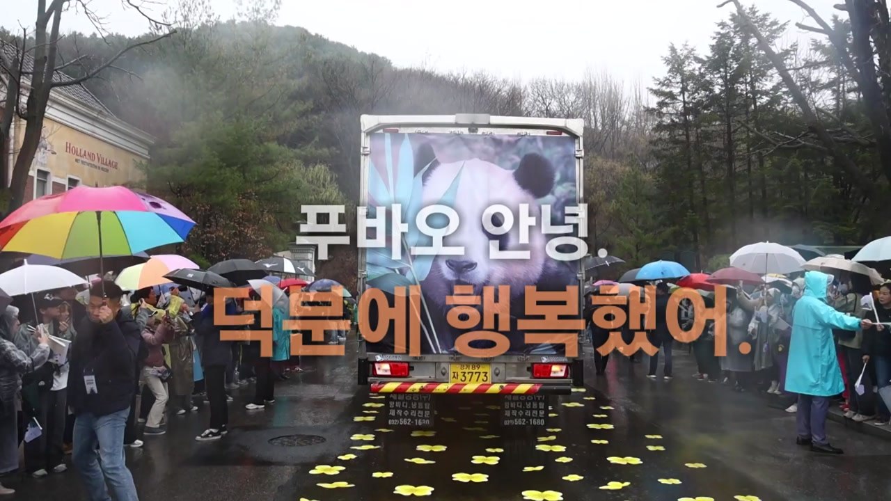 [영상] 안녕, 푸바오. 덕분에 행복했어 / YTN