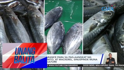 Pag-issue ng clearance para sa pag-aangkat ng galunggong, bonito, at mackerel, sinuspinde muna ng Dept. of Agriculture | UB