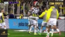 Fenerbahce vs Adana Demirspor 4-2 Highlights & All Goals 2024 HD