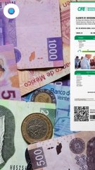 CFE ofrece descuentos en recibo de luz