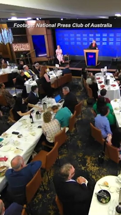 ‘We need to be loud, we need to be unified’: Rosie Batty on federal funding