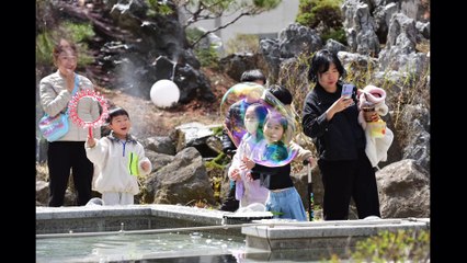 2024 수색 한마당 (2024 수색애, 봄이 왔나 봄!)