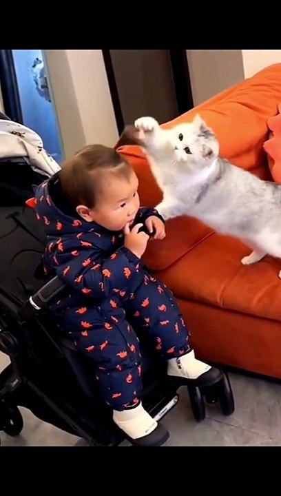 Hewan Lucu
