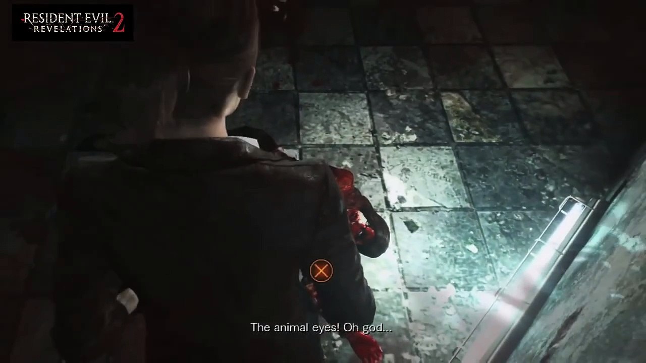 Video Gameplay
