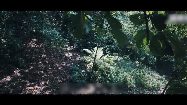 Phim Nữ Sát Thủ Xinh Đẹp Nằm Vùng Sở Cảnh Sát - Review Phim Tầng 11 Biến Mất