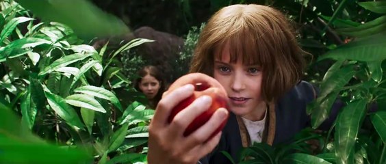 映画『マッドマックス：フュリオサ』