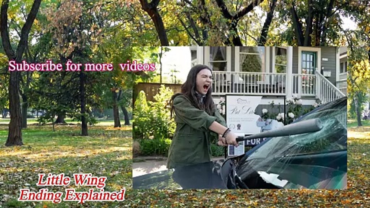 Little Wing Ending Explained | Little Wing 2024 Movie | brian cox movie