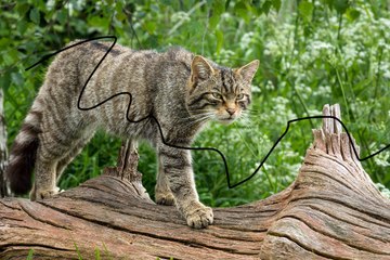 test autocopy+migrating+send planning