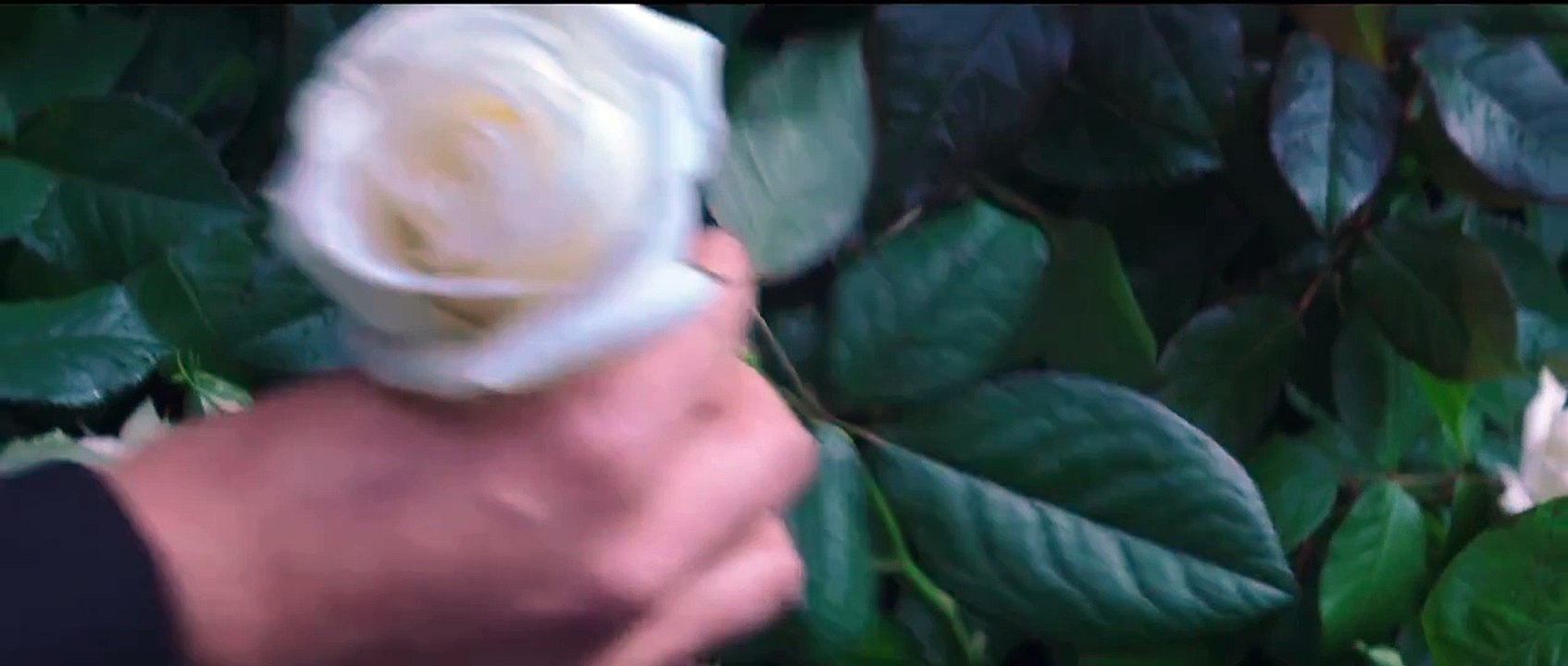 Trailer Finale