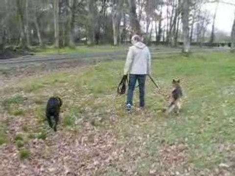 MVI_4208 Porto Appolon