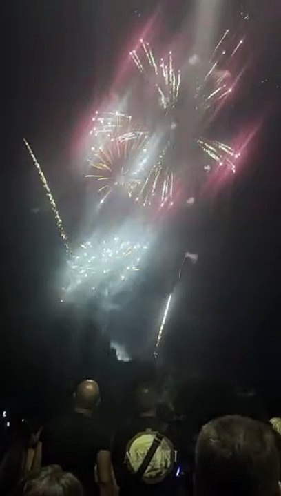 Le Feu d’artifice du 14 juillet Grenoble  Parc Jean-Verlhac Villeneuve #france #grenoble #show (16)