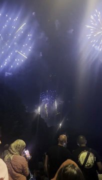 Le Feu d’artifice du 14 juillet Grenoble Parc Jean-Verlhac Villeneuve #france #grenoble #show (2)