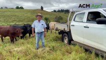 Don Kirchner talks grazing at Templin Hills | April 4, 2024 | Queensland Country Life