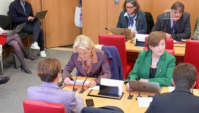 Commission des lois : Dispositions du code général de la propriété des personnes publiques relatives à la Polynésie française - Mercredi 3 avril 2024