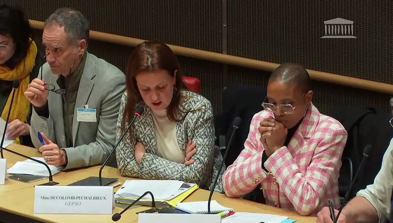 Délégation aux droits des enfants : Table ronde réunissant diverses associations - Mercredi 3 avril 2024