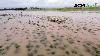 Flooding at Lower Lansdowne | April 4, 2024 | Queensland Country Life