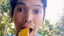 Does Dog eat banana?