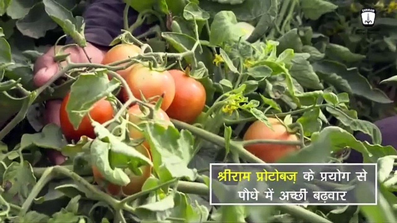Watch Video to See Super Farmer's Gains from Shriram Protobuz
