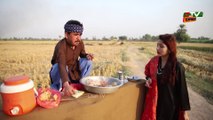 Number Daar Gole Gappay wala ｜ Bubly Top Funny ｜  New Punjabi Comedy Video 2024 ｜ Chal Tv
