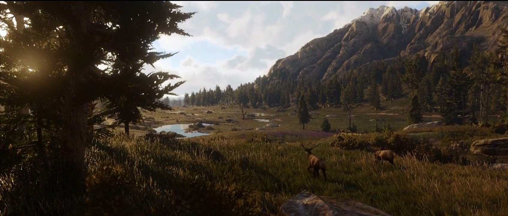 Reveal trailer