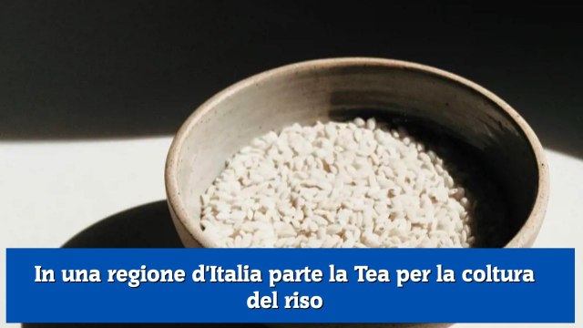 In una regione d'Italia parte la Tea per la coltura del riso