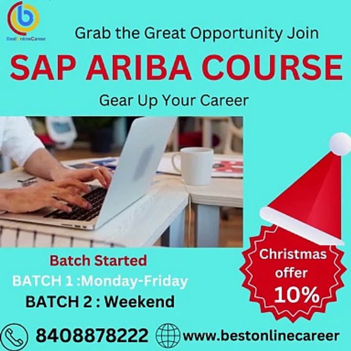 SAP ARIBA COURSE (2)