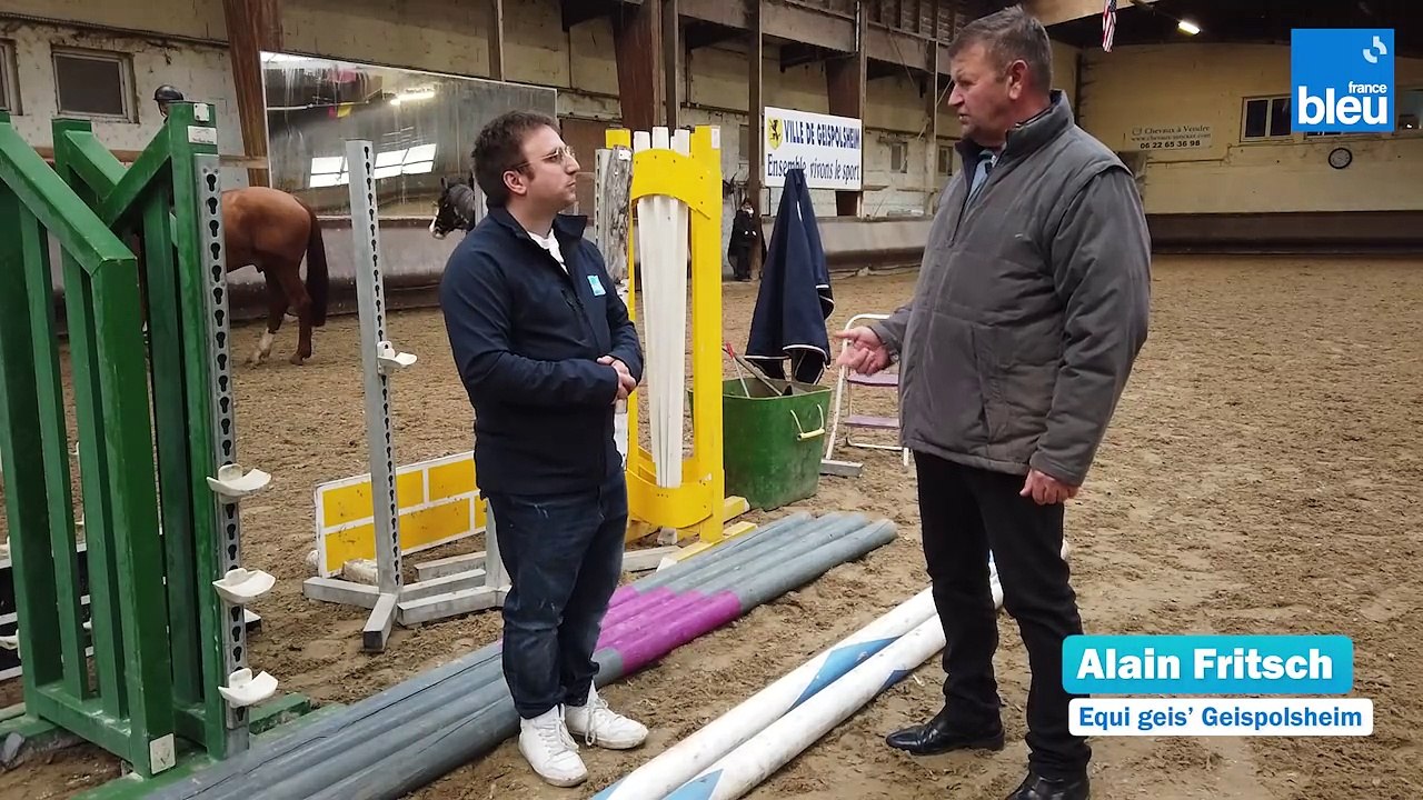 L'Equitation à Geispolsheim 4/6