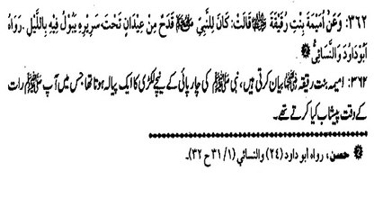 HAZRAT MUHAMMAD (S.A.W) APNI CHARPAI KE NICHE KYA RAKHTE THE ? (362)
