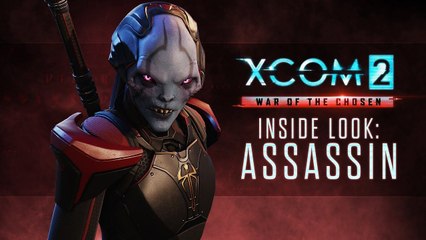 Inside Look: The Assassin