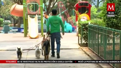 En la Ciudad de México, ya es posible tramitar la clave única para mascotas