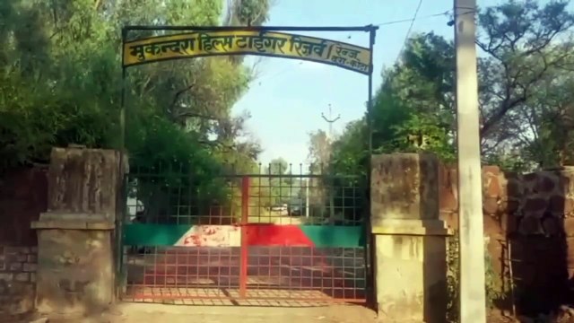 राजस्थान के जंगलों में दहाड़ सकते हैं उत्तराखंड व महाराष्ट्रीयन बाघ